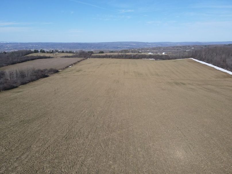 DJI_0316