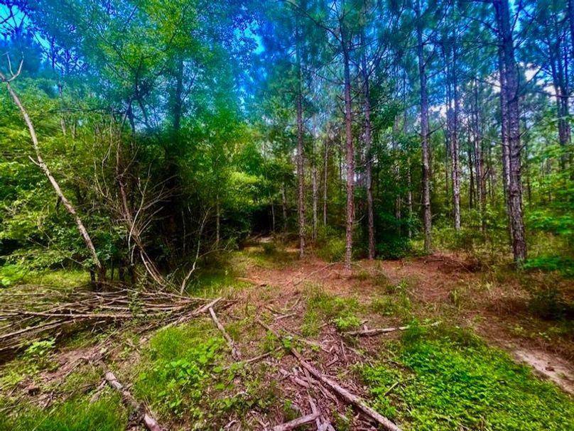 E09ED712-4DA2-4263-89AD-F0B5874A7556_1_105_c