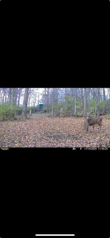 Screenshot 2026-01-06 at 4.33.27 PM