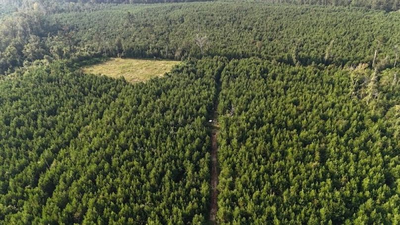 dji_fly_20250903_215912_0023_1756926952023_photo