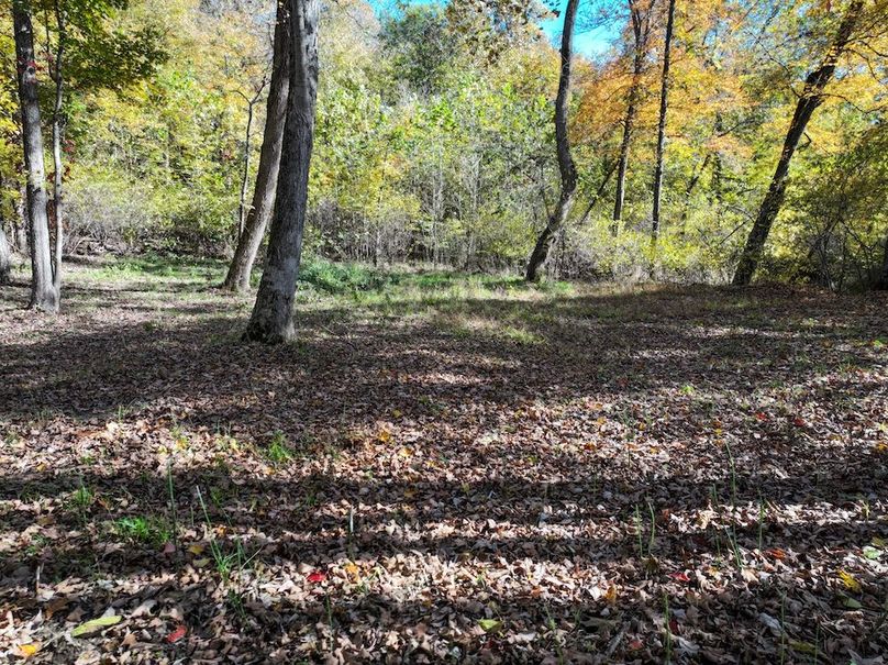 Copy of DJI_20251031134350_0794_D