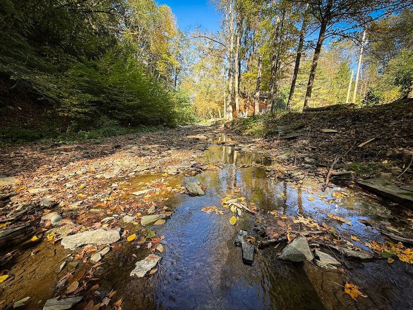 Tompkins NY 87 Allen Photos 27