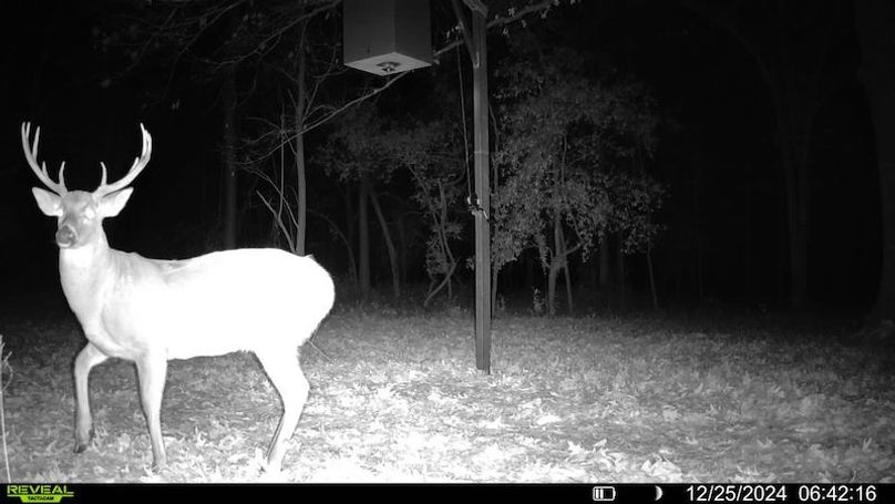 016579000809793-47-4-12252024064216-SYFW04401