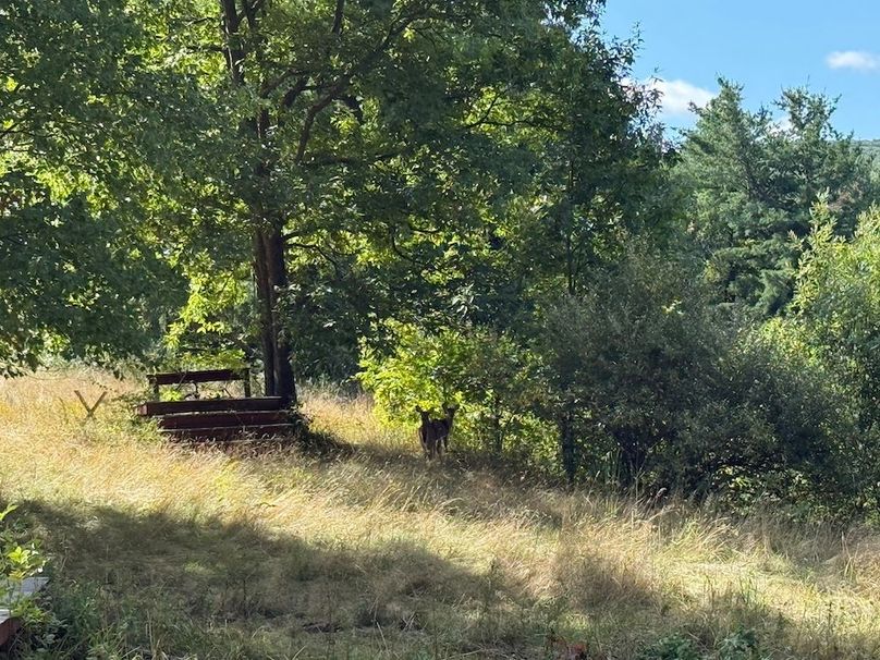 Ontario_33.3_Proseus Photo 49