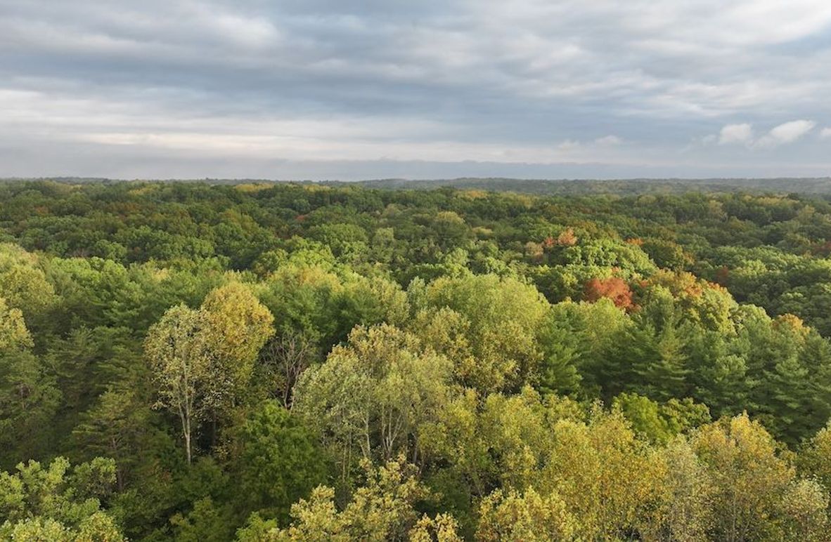 dji_fly_20240925_084206_0467_1727268780540_photo