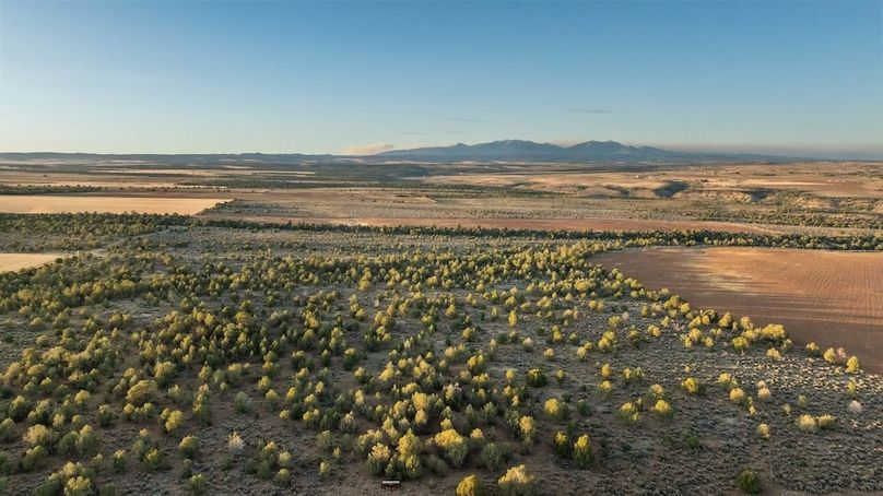 DJI_0232_1