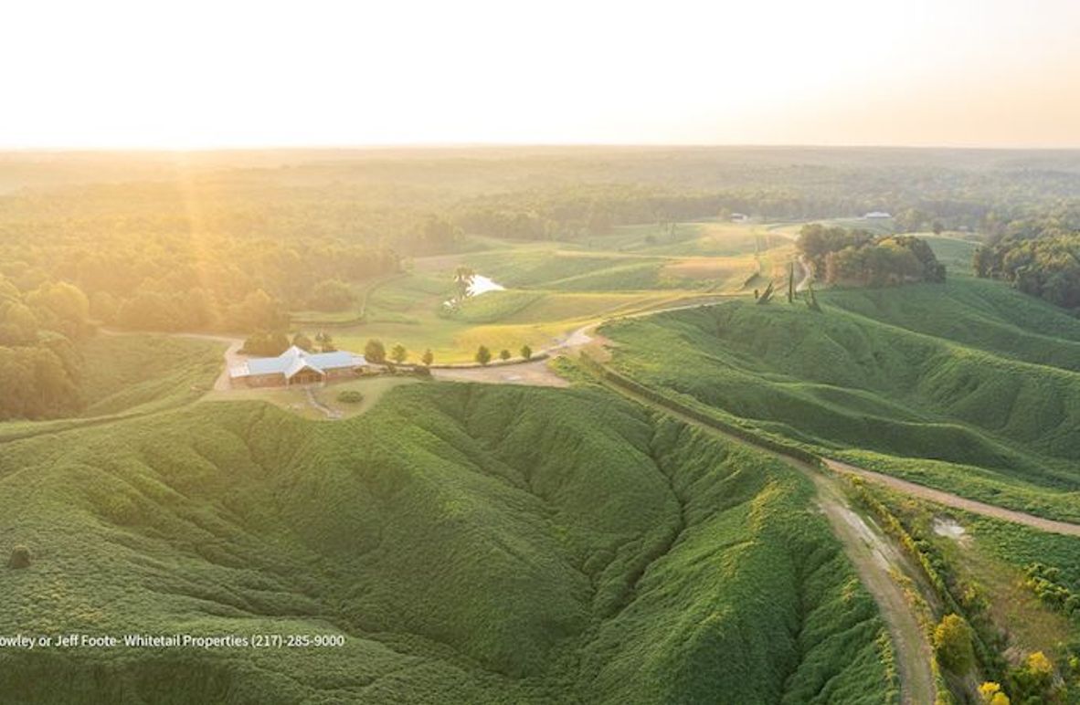 Tallahatchie 847 Messina-01