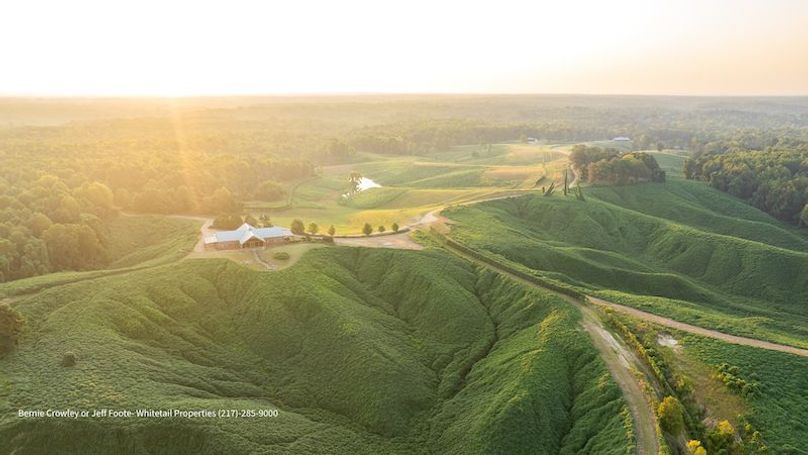 Tallahatchie 847 Messina-01