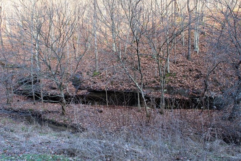 036 rock cliff outcropping along the creek in the south area of the property