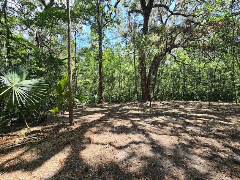 1.01ac, Citrus, Josiah Ronco11