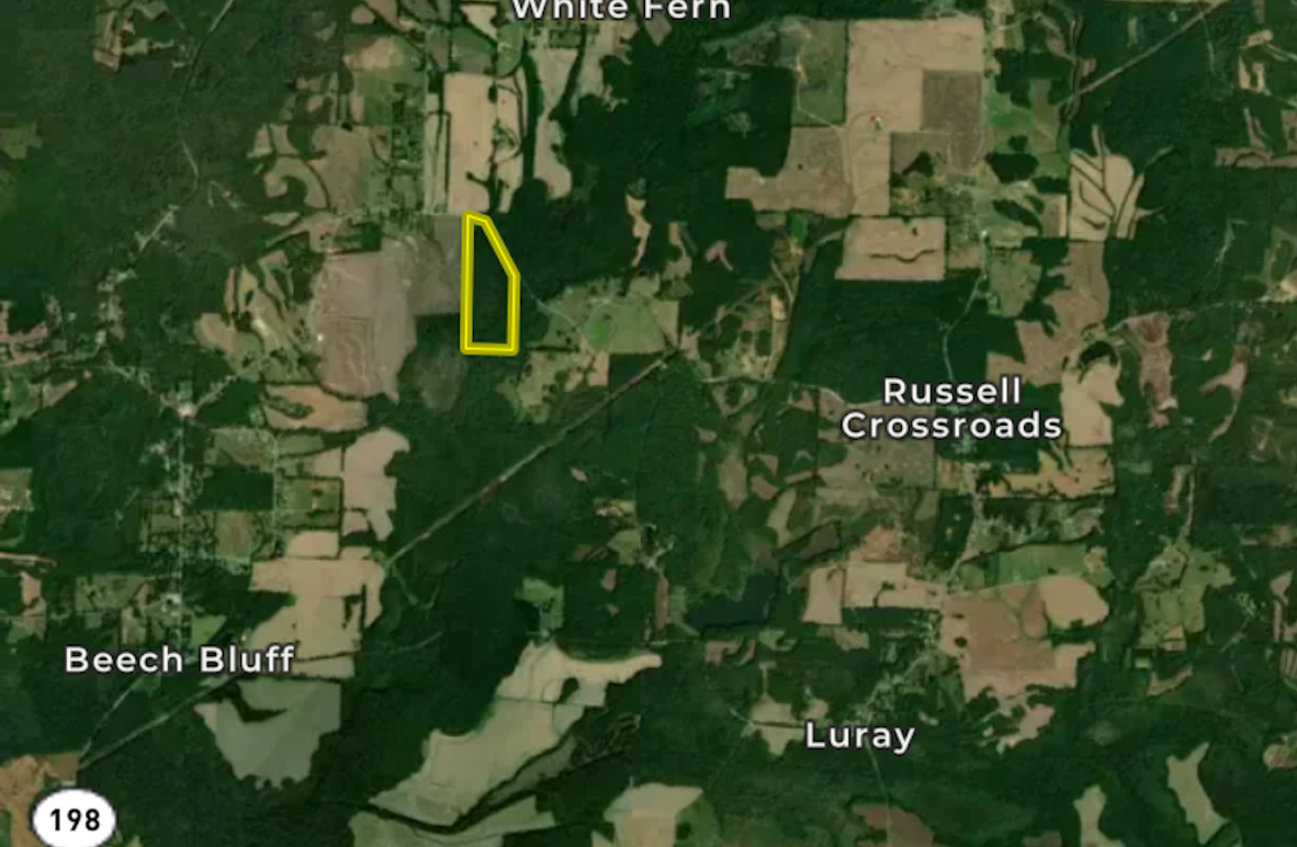 Screenshot 2026-03-25 at 11.01.42 AM