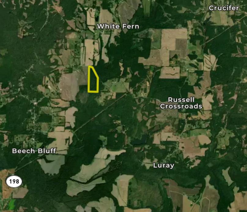 Screenshot 2026-03-25 at 11.01.42 AM