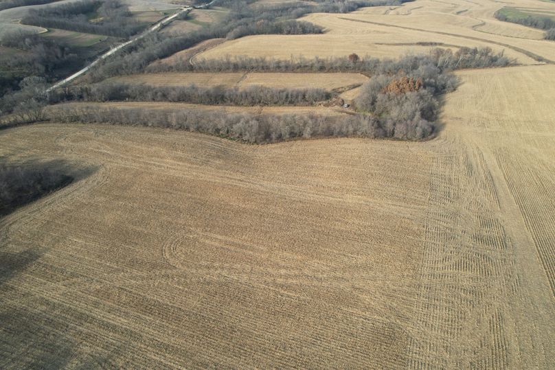 DJI_0007