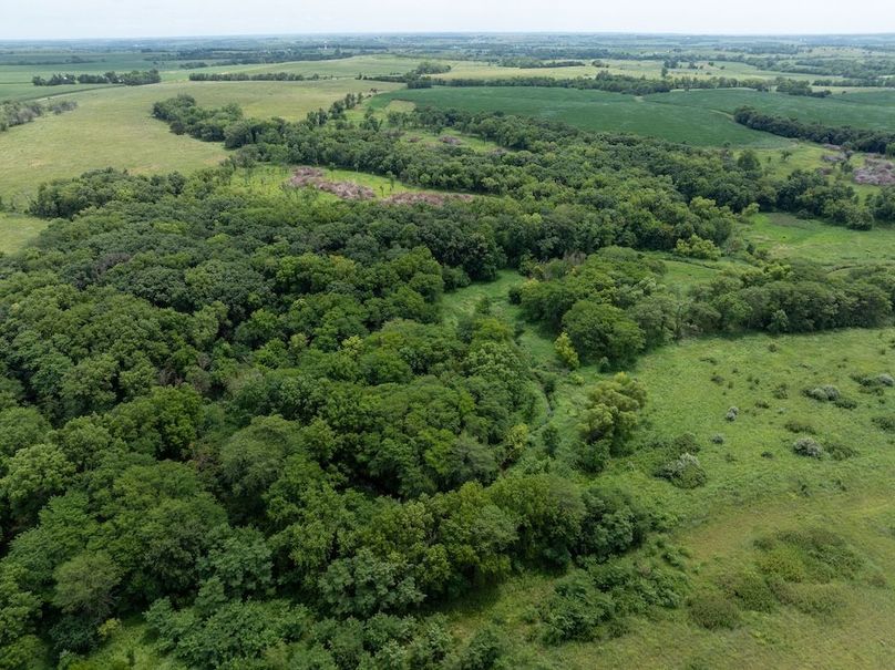 20240716-DJI_20240716142938_0014_D