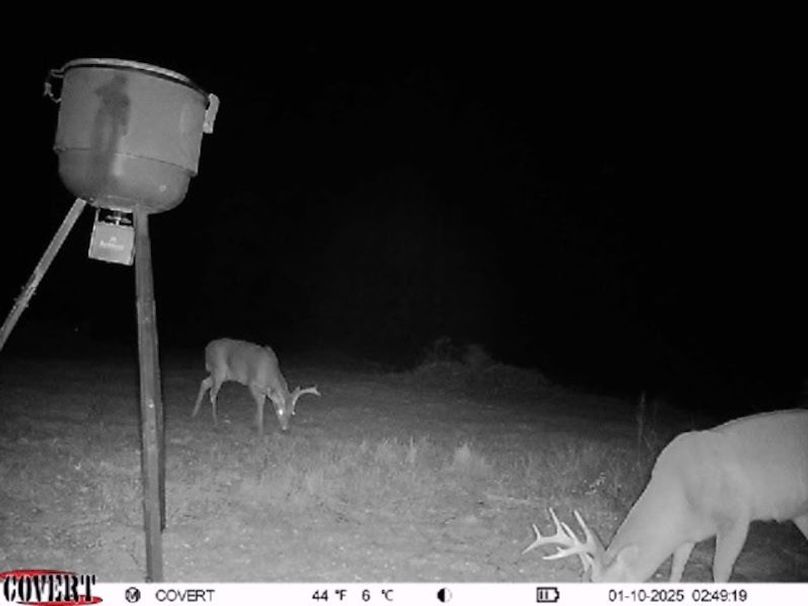 Trail Cam 4