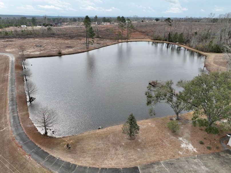 dji_fly_20260211_113530_274_1770828256466_photo