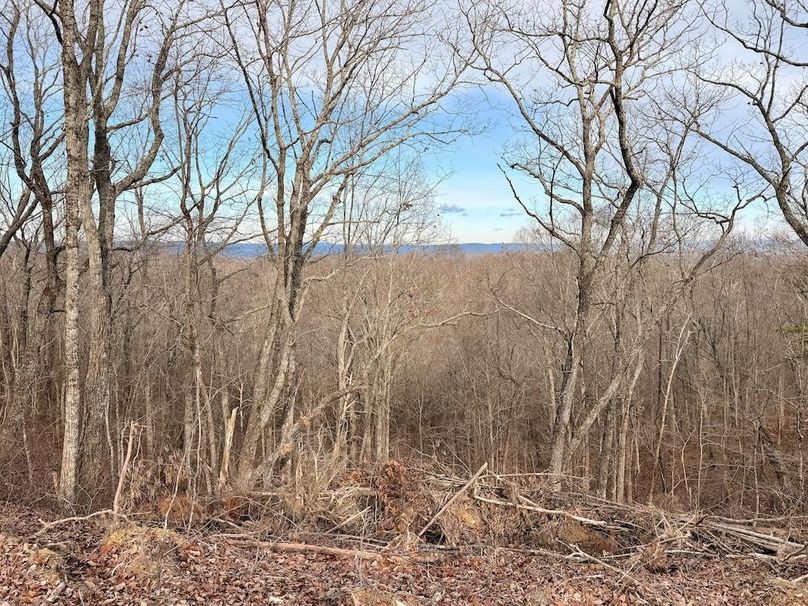 Roane Co TN 396 20251127_74