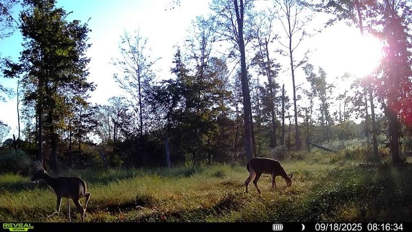 016578004352834-90-3-09182025081634-SYFW00169