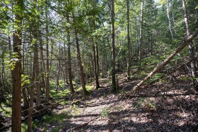 Mackinac 320 Copenhaver-72