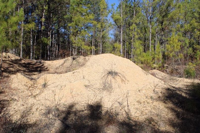 970FA9C0-42A9-482E-8410-295086DFDC9E_1_105_c