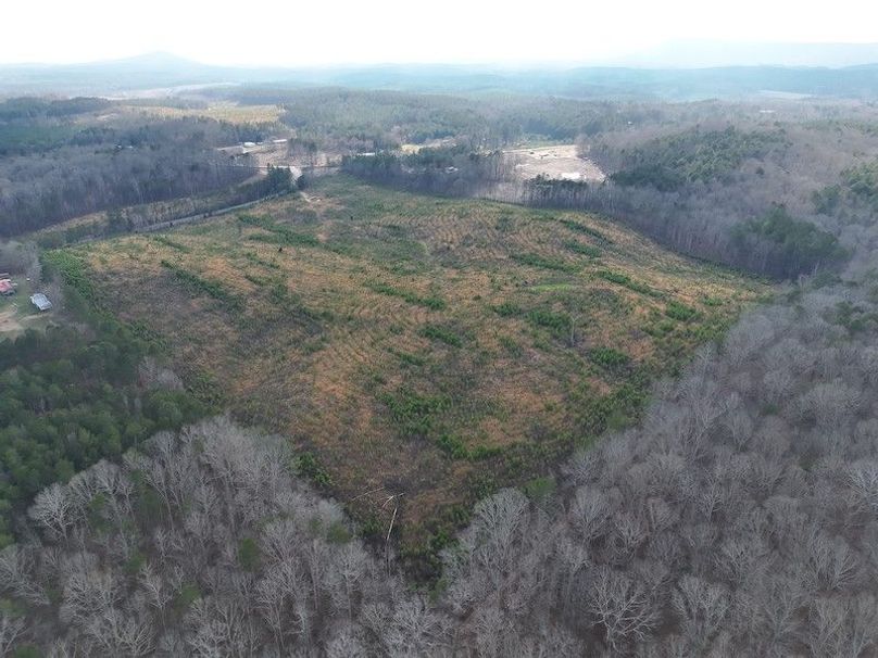 DJI_20260303144831_0014_V