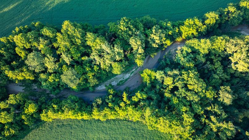 DJI_20250805061809_0025_D