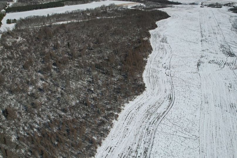 dji_fly_20260311_115418_108_1773248424941_photo (1)