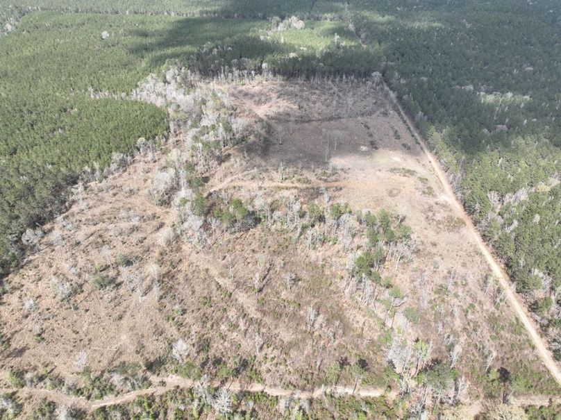 dji_fly_20260303_140134_298_1772637932643_photo