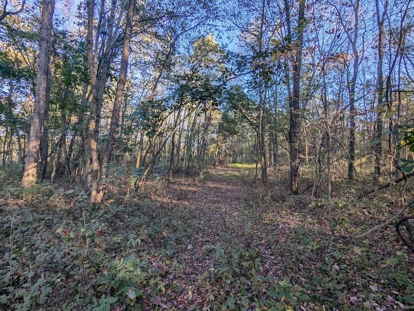 PXL_20251001_213810575