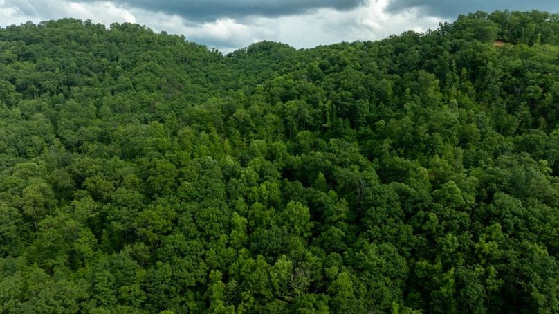 105 Featured_ProPhoto-73