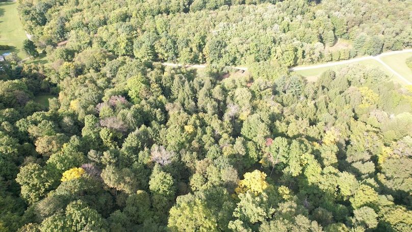 dji_fly_20240909_165624_636_1725915497968_photo