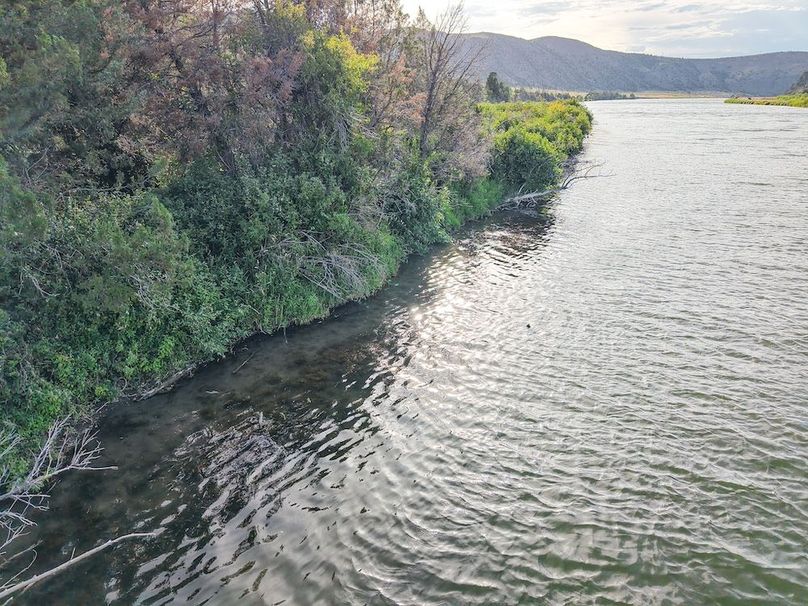 20250728-DJI_20250728184347_0066_D