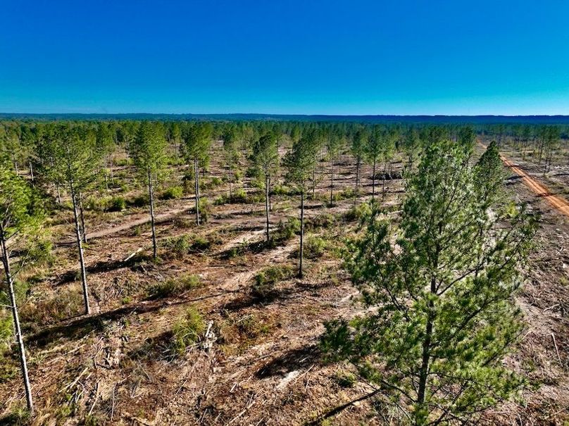 FF0EADA7-2244-47D6-93B9-A56C4C742BD6_1_201_a