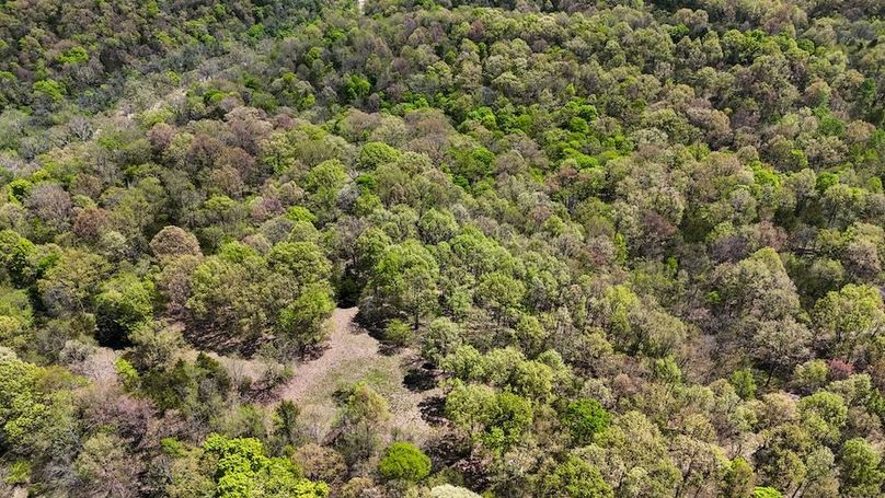 DJI_20250428131809_0480_D