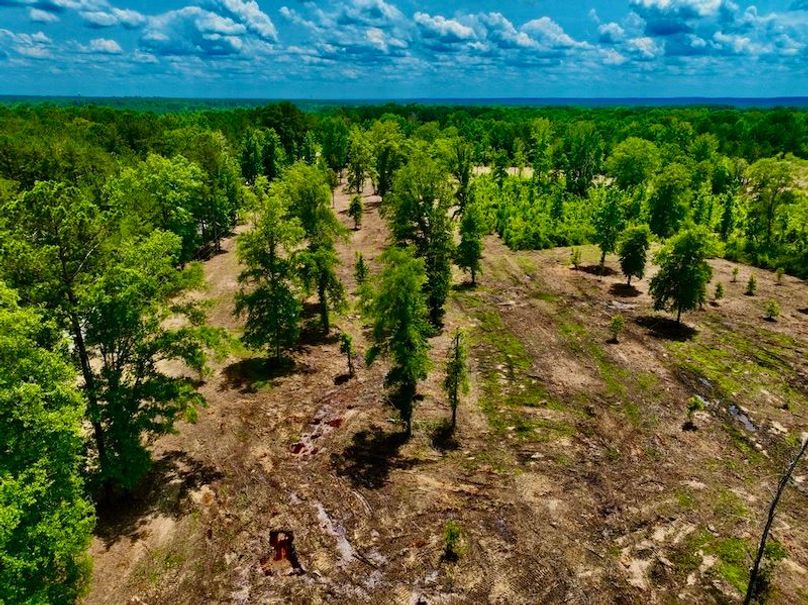 14840027-9BB7-4CD3-B9BB-8E18F44E736B_1_105_c