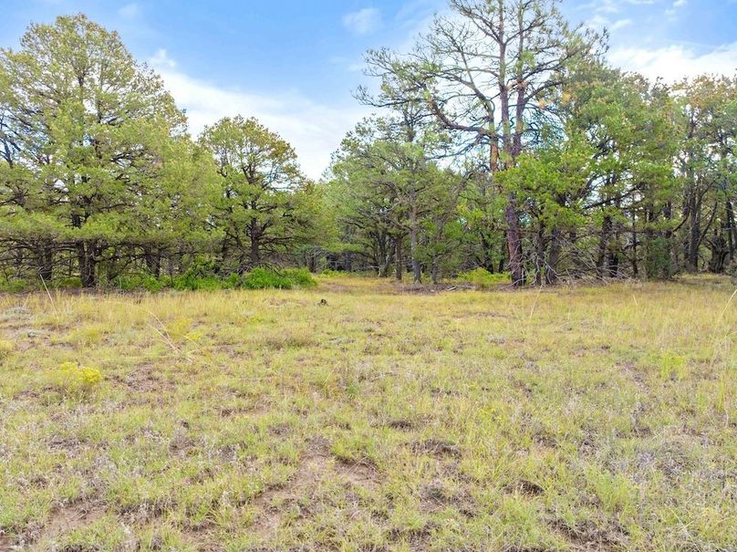 DJI_20250924103227_0054_D