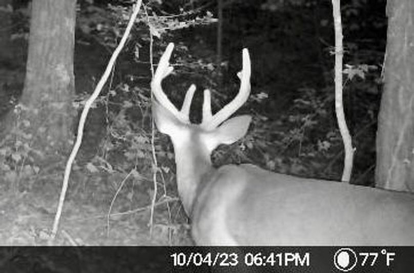 image638338633080603513