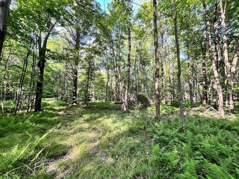 Jefferson_260.3_ Lobach_Photos_57