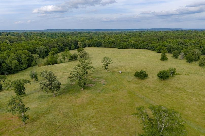 Holman Ranch-27