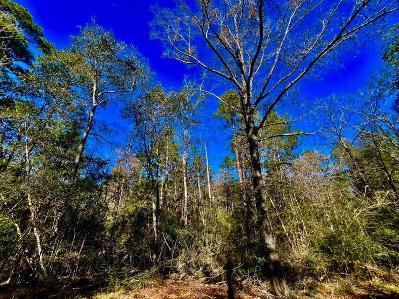 9F4A4232-D3AE-45BE-B8A4-847D21B6677A_1_201_a