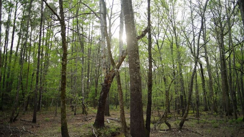 Marion TX 143 and 117 Featured_WEB.00_04_48_26.Still012