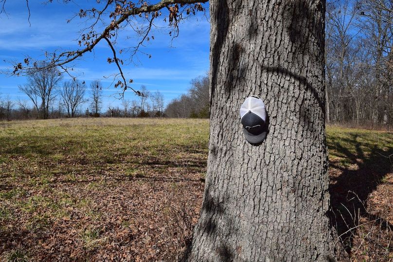 DSC_0268_inPixio (2)