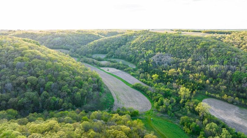 DJI_0348