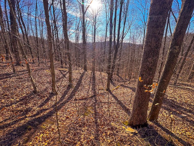 Lewis, WV 82.87 AC Barger-27