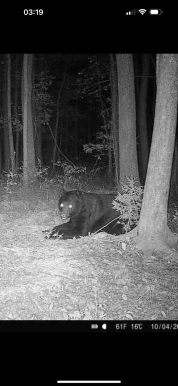 3-TrailCam