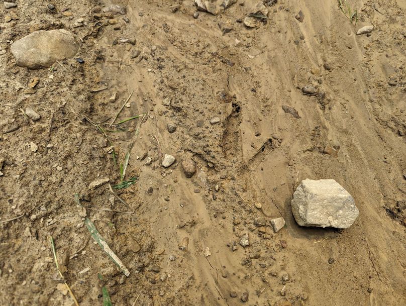 PXL_20230801_151516280