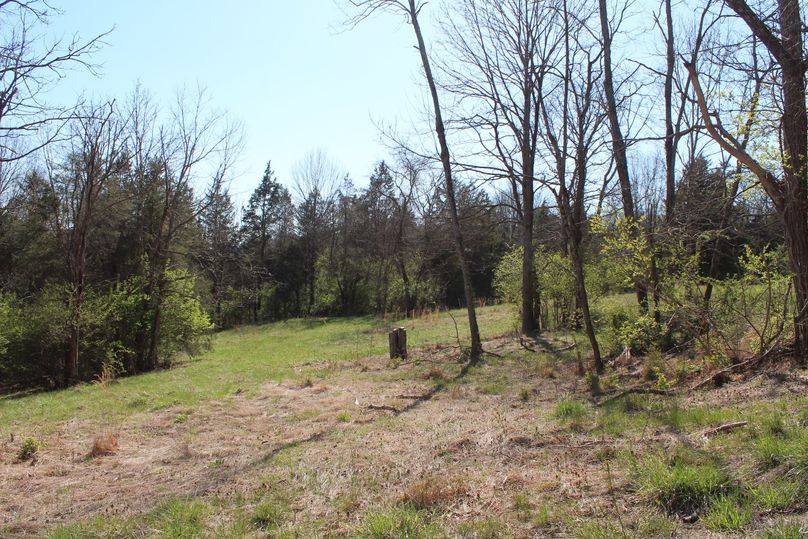 009 one of the many smaller fields across the property