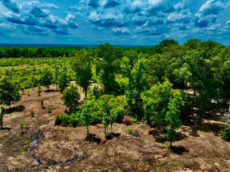 5C022E52-8091-457C-9779-50BA887866DA_1_105_c