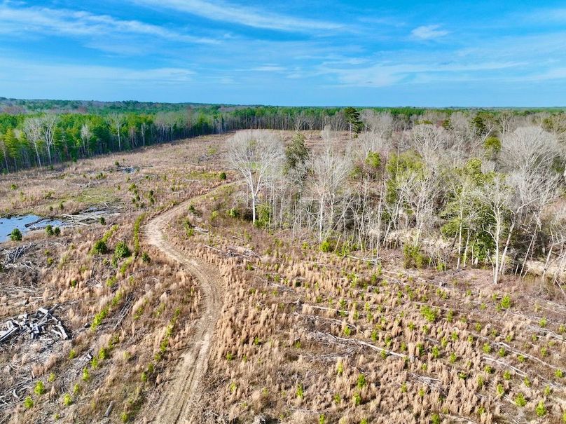 B6E8BA19-89E5-4882-AE58-66E2024C347F_1_201_a