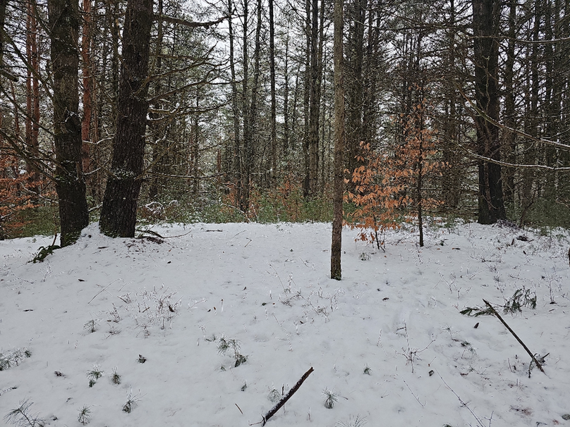 photo_13a1c48e-3cab-463b-bff3-d6f095f83d3b